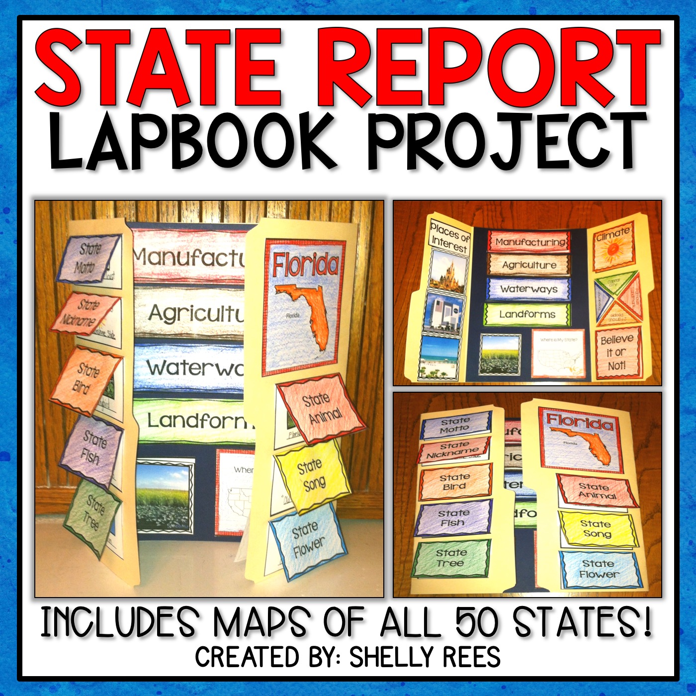 lap book report project