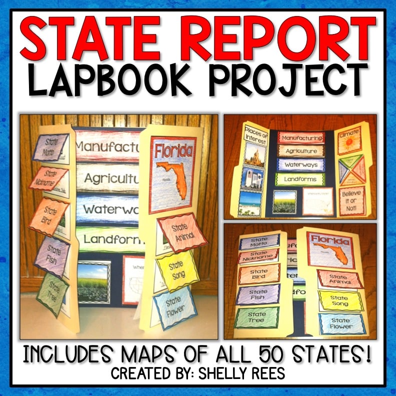 book report project ideas for 3rd grade