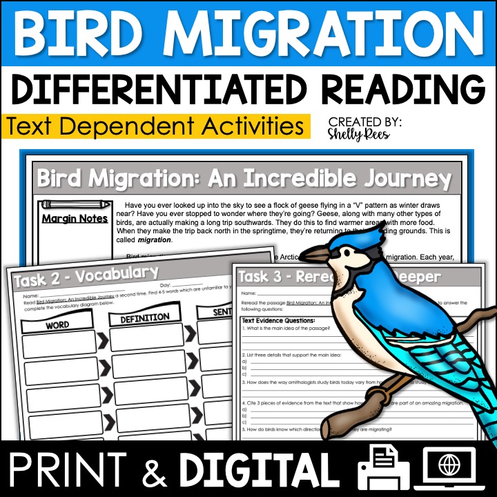 Bird Migration Reading Passage and Worksheets - Appletastic Learning