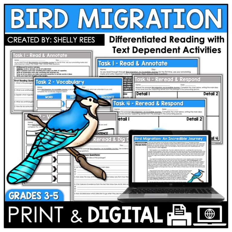 write an essay on bird migration