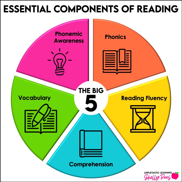 What is science of reading