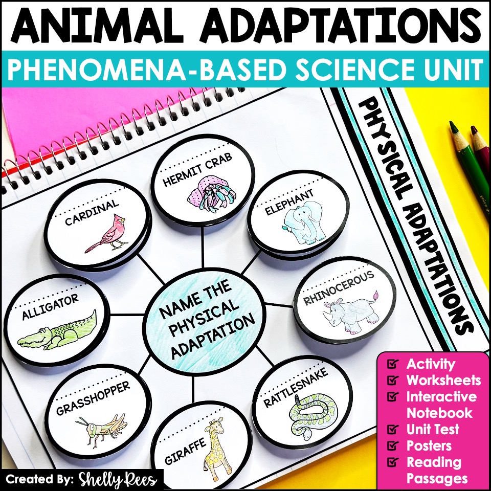 Animal Adaptations Activities